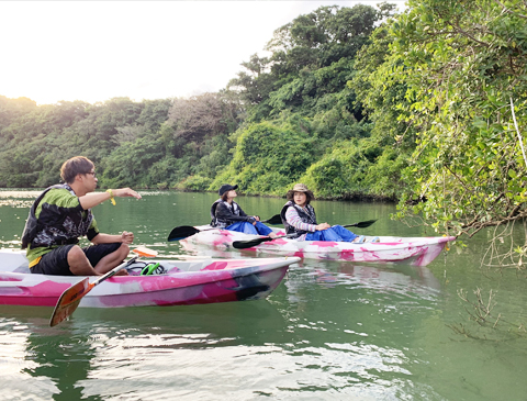 Mangroves Kayak