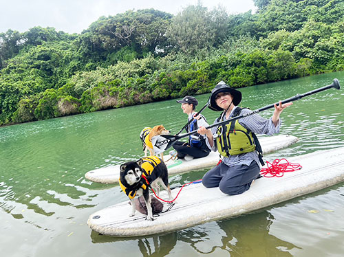 Kayaking with your pet1