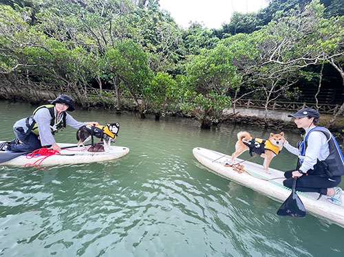 Kayaking with your pet2