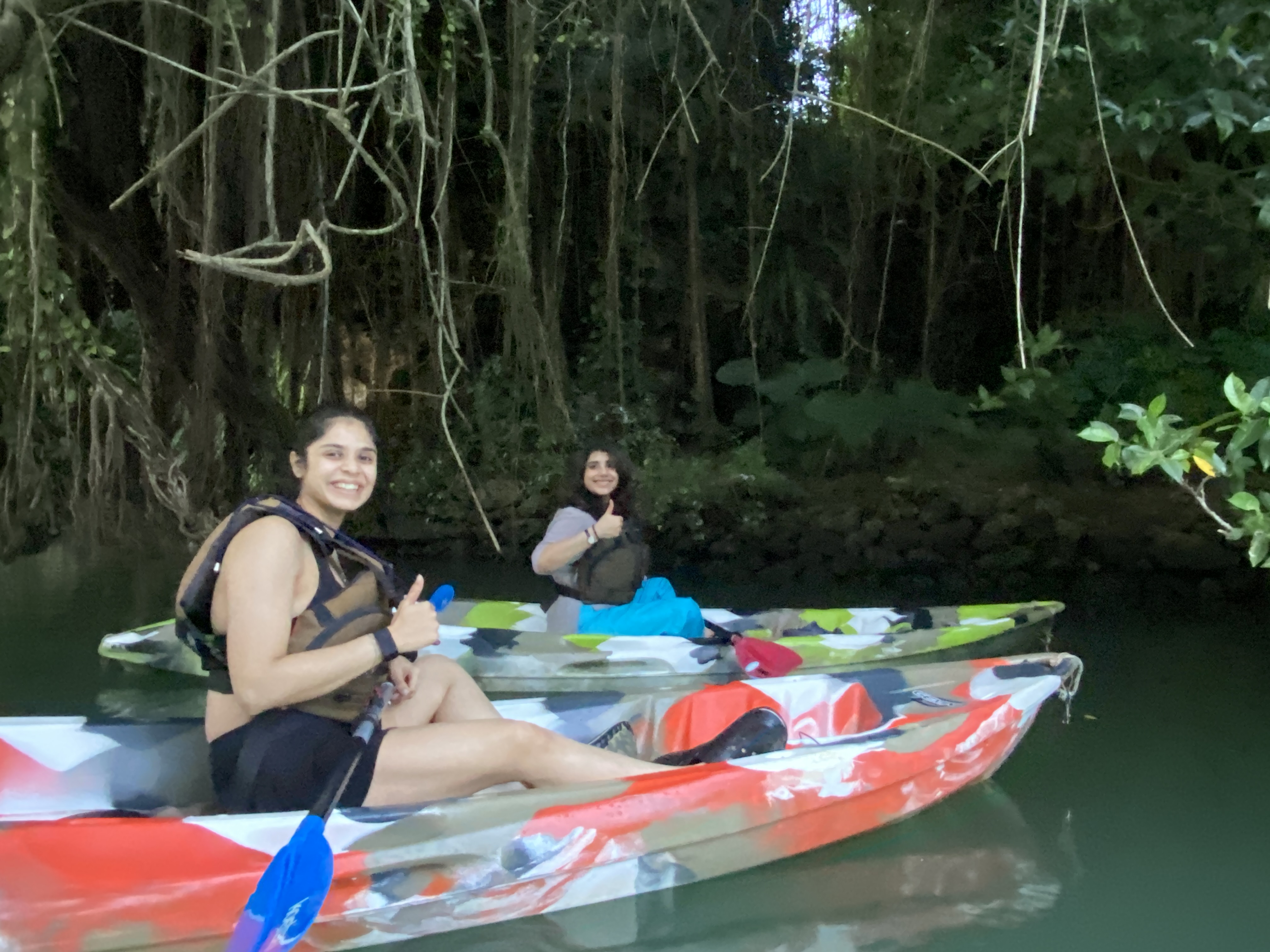 2025年を振り返って‗ブルーフィールド03