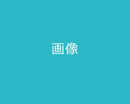 画像の説明